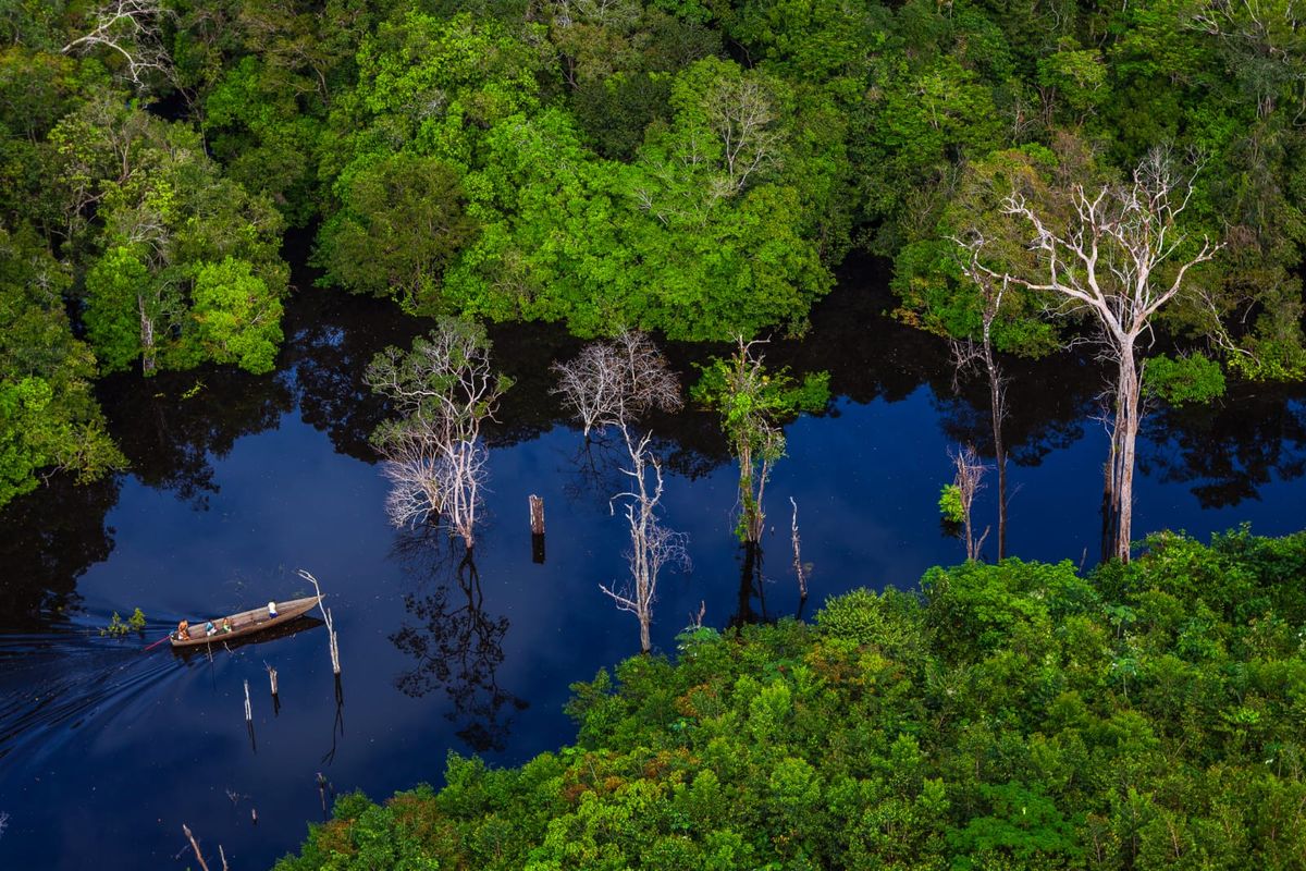 Vista aérea de floresta alagada na Amazônia, com uma pequena embarcação sobre águas escuras.